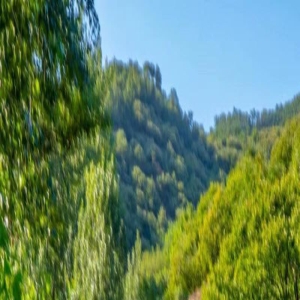 泰安锦绣谷水量充沛,小瀑布景致秀美