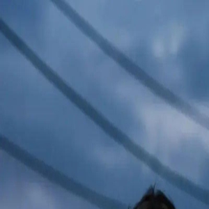 拈花一笑与君归,准备好迎接新倩女幽魂美妙奇幻的嘉年华之旅吧!