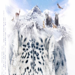 获最受传媒关注荣誉!《雪豹和她的朋友们》定档8.4