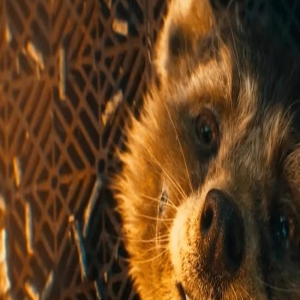 漫威导演力荐,解锁《银护3》“小火箭浣熊”故事,制作衍生剧