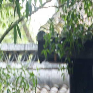 电影《长安三万里》走进李白故里 绵阳路演火爆