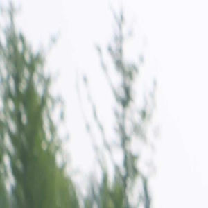 《别叫我“赌神”》亲子跑 嗯哼留言发哥终点相见