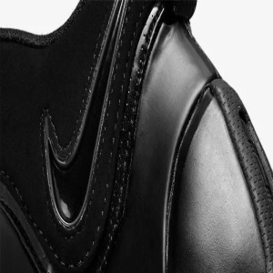 詹蜜狂喜!等了 17 年的「黑武士」即将回归!