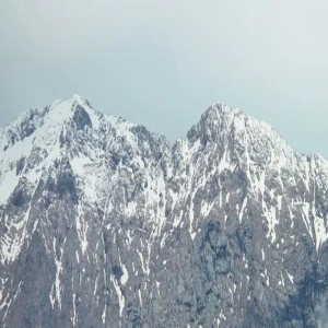 (周运)马乔丽 2023年8月14日至2023年8月20日十二星座运势