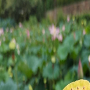 大龄不是问题,“三无”女,才不可“娶”!