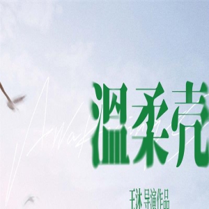 《温柔壳》曝终极海报 王子文尹昉海边甜蜜牵手