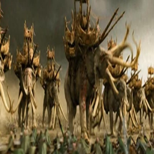 指环王三部曲第一部,一个充满邪恶的强大魔戒,引发各界拼力争夺