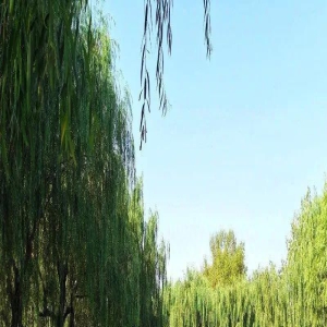 福利大放送!七夕带上TA出游吧