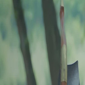 凤囚凰:乐蕴为容止通风报信又陪康王赴死,一个细作的深情与无奈