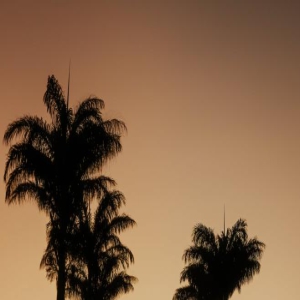 傅首尔结婚14年要离婚?女强男弱的婚姻,为何总是一地鸡毛?