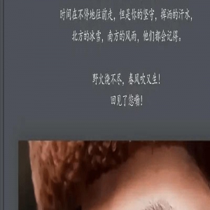 《梦中的那片海》：时代虽然不同，青春同样火热