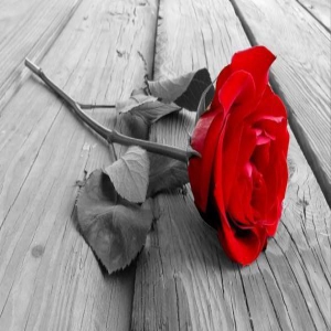 那个年代的校园爱情