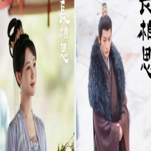 《长相思》原著小说男主到底是谁？女主为什么和男二在一起了？