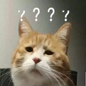 你以为猫咪在看你？其实它20米开外人畜不分。。。