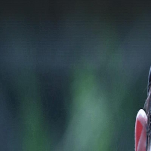 《公诉精英》肖沐恩到死也想不到，让他败亡的不是安旎，是赵冀凯