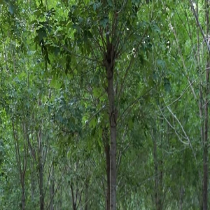 夏日轻松遛娃，去乡间的农场，大自然里撒野