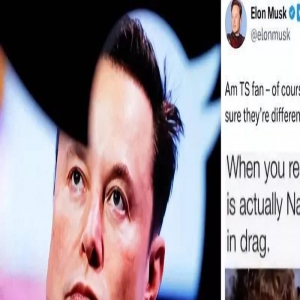马斯克摊上大事！发文嘲笑泰勒外貌像男性，遭大批粉丝“围剿”！