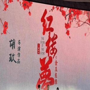 《红楼梦》也要魔改成电影了？主演均不到20岁，这个选角满意吗