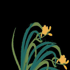 端午假期舞剧《长恨歌》演出票购票攻略来咯！收藏不谢！