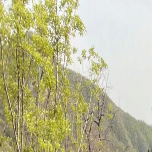 44岁佟大为身形消瘦！被妻子严管常年吃水煮菜，自曝吃肉的念头不敢有