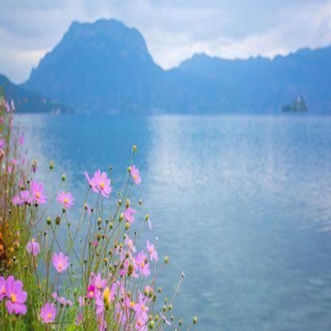 张爱玲：三段情，三种心境