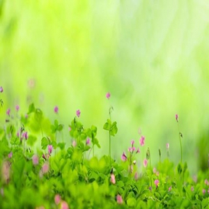 写给最爱的你：无缘夫妻，我的心也会陪你到天长地久