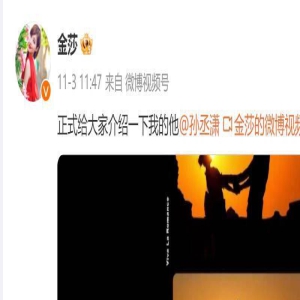 刚官宣就翻车！金莎与男友的结局，张雨绮早已给出了答案