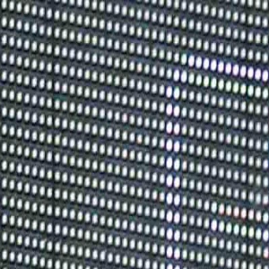 周慧敏罕见亮相!56岁的“玉女”依旧迷人动人