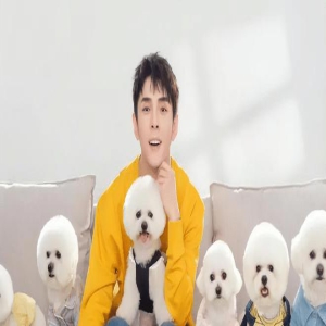 掉粉超百万,李佳琦直播间哭着道歉被嘲,资产被扒一年收入18亿