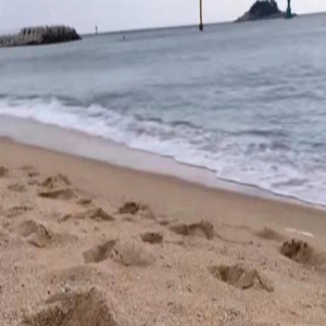 让全智贤宋慧乔集体过气?她这野心也太大了吧…