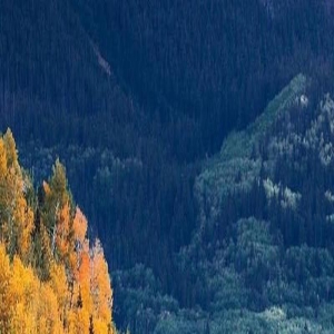 金秋时节拍美照片,来学这7个风光摄影技巧,好看极了