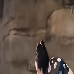 向佐一家现身水上乐园,郭碧婷穿泳装身材走样,腰间赘肉太明显