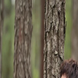 沈腾出演新综艺差评一片,新电影口碑下滑,票房收益惨淡亏损严重