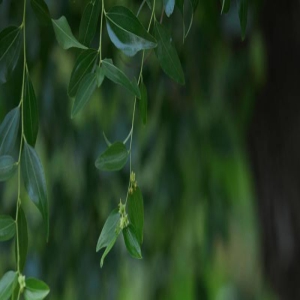 27岁孙嘉璐最新大片出炉,穿白色抹胸短裙秀好身材,长相甜美可爱