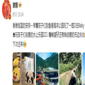 42岁谢娜曝三胎后首露面!腹部凸起孕味足,知情人:5个月了