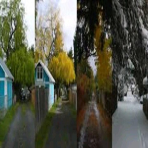 常在路中走,谁识个中味!加男花1年拍「家旁小径景致」风景大片