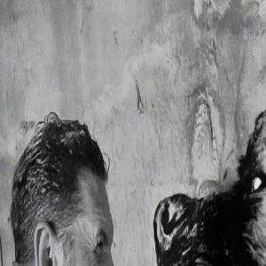 《毒液3》幕后照曝光 汤姆·哈迪对野狼做撕咬动作