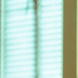 《孤注一掷》曝预告片 张艺兴金晨给王传君打黑工