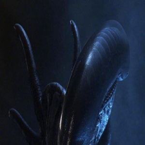 新版《异形》北美定档2024夏季 暑期档惊吓来袭