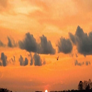 再绝情的男人,也放不下这种女人