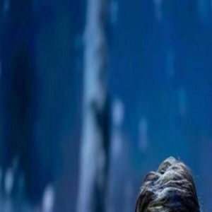 杭天琪:二婚嫁小13岁老公,46岁冒险生二胎,如今婚姻状况如何了