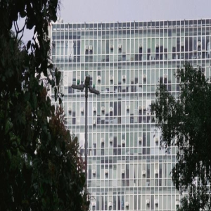 他知道自己错了,但是他不敢改