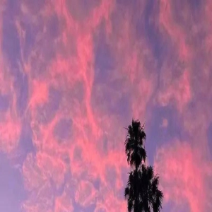 塔罗:旧爱的心里还有你吗?该不该忘了他!