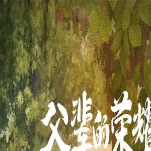 央视今晚播!33集大剧来袭,我难掩激动,终于有像样的农村剧了