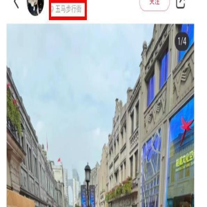 Angelababy现身线下活动,穿4000元肚兜勒出赘肉,人多到寸步难行