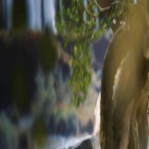 《玉骨遥》:腾讯视频定义古偶叙事及格线