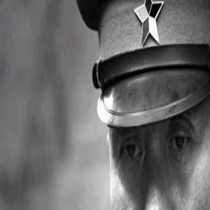 首播将至!谍战剧《蜂巢》将登陆央视,阵容不错,又有大剧看了