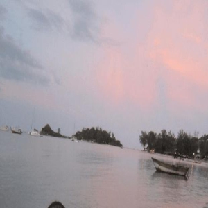 黄渤《学爸》首波口碑出炉了!现场观众的打分评价都“一针见血”