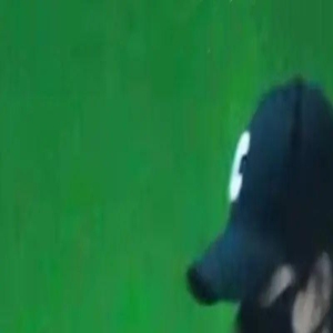 赵丽颖首晒娃状态超好,如何快速解锁细腰翘臀?碎片化时间3步练