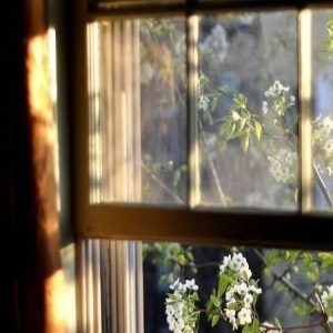 十二星座里的霸道痴情总裁大揭秘,快来看看有没有你的ta